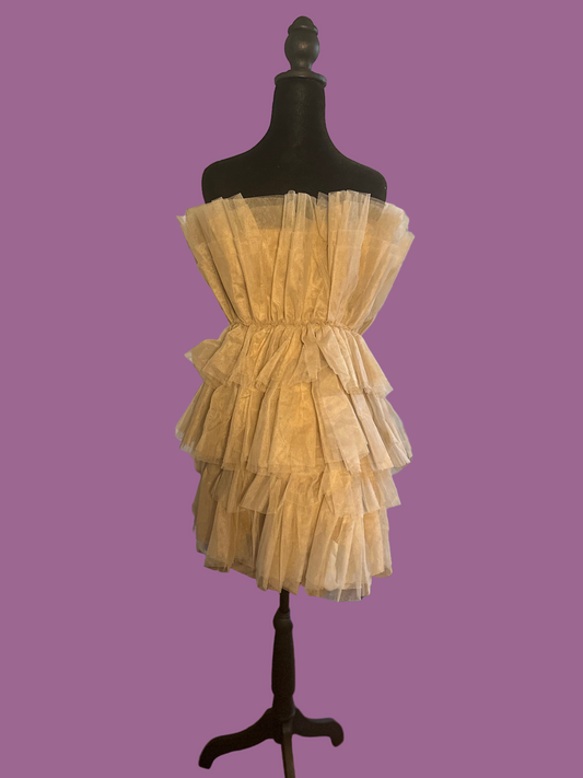 Taupe Tulle Dress